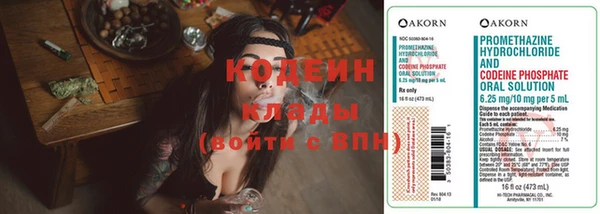 амф Ельня