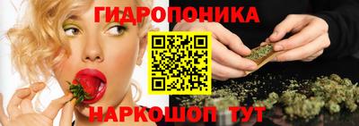 ГАЛЛЮЦИНОГЕННЫЕ ГРИБЫ Можга
