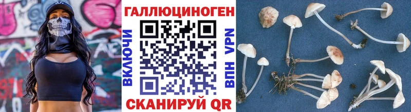 omg как зайти  как найти закладки  Буйнакск  Псилоцибиновые грибы ЛСД 
