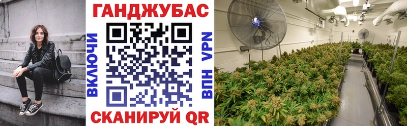 Каннабис план  дарнет шоп  Буйнакск 